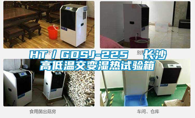 HT/GDSJ-225 長(zhǎng)沙高低溫交變濕熱試驗(yàn)箱
