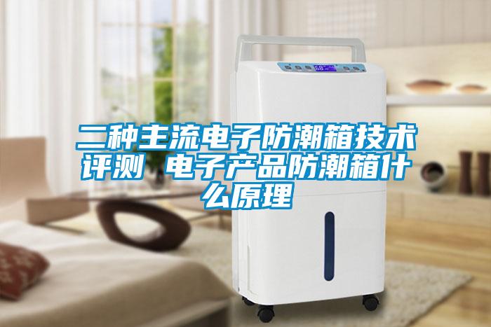 二種主流電子防潮箱技術(shù)評測 電子產(chǎn)品防潮箱什么原理