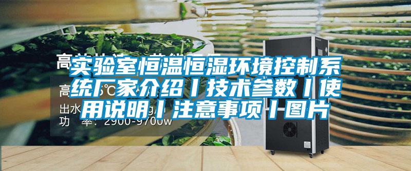 實(shí)驗(yàn)室恒溫恒濕環(huán)境控制系統(tǒng)廠家介紹丨技術(shù)參數(shù)丨使用說(shuō)明丨注意事項(xiàng)丨圖片