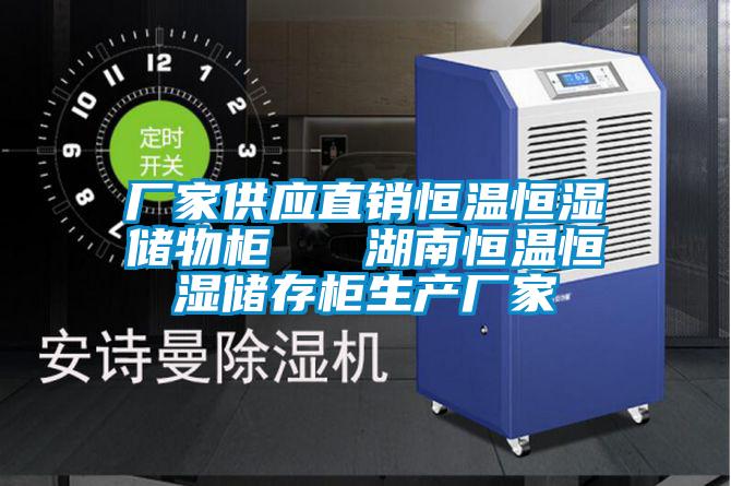 廠家供應(yīng)直銷(xiāo)恒溫恒濕儲(chǔ)物柜   湖南恒溫恒濕儲(chǔ)存柜生產(chǎn)廠家