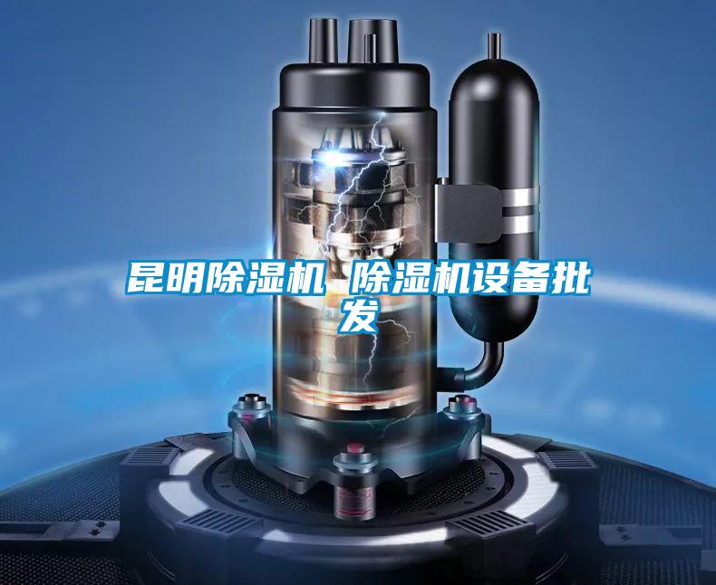 昆明除濕機 除濕機設(shè)備批發(fā)