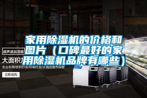 家用除濕機的價格和圖片（口碑最好的家用除濕機品牌有哪些）