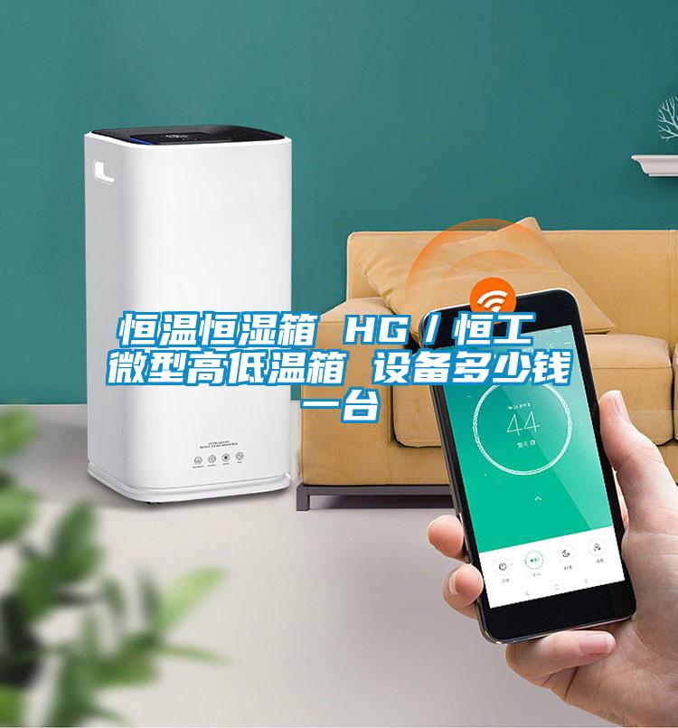 恒溫恒濕箱 HG／恒工 微型高低溫箱 設(shè)備多少錢一臺