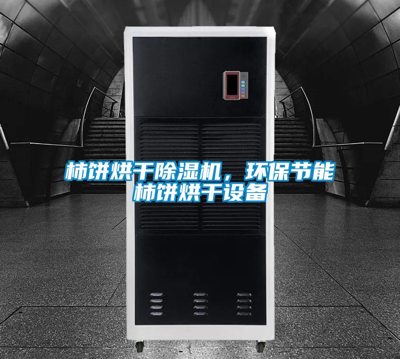 柿餅烘干除濕機(jī),環(huán)保節(jié)能柿餅烘干設(shè)備