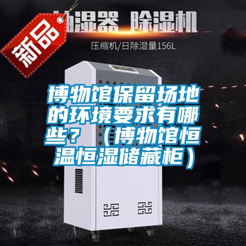 博物館保留場地的環境要求有哪些？（博物館恒溫恒濕儲藏柜）
