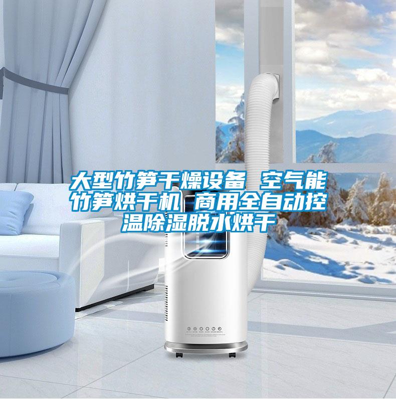 大型竹筍干燥設(shè)備 空氣能竹筍烘干機(jī) 商用全自動控溫除濕脫水烘干