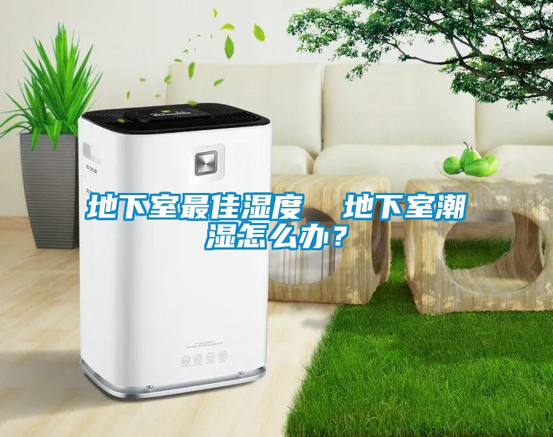 地下室最佳濕度  地下室潮濕怎么辦？