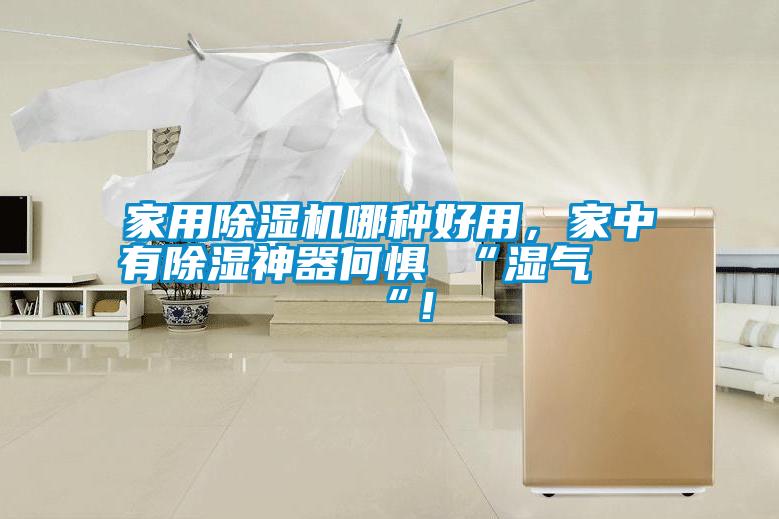 家用除濕機(jī)哪種好用，家中有除濕神器何懼 “濕氣 “！