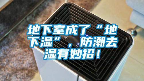 地下室成了“地下濕”，防潮去濕有妙招！