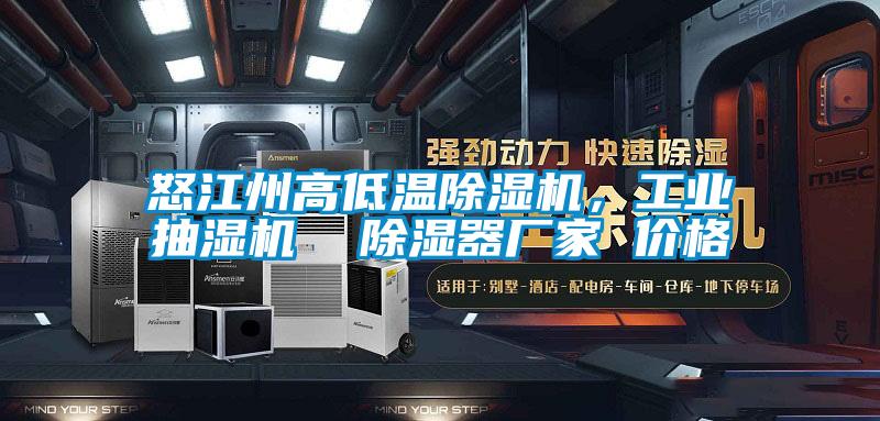 怒江州高低溫除濕機，工業抽濕機  除濕器廠家 價格