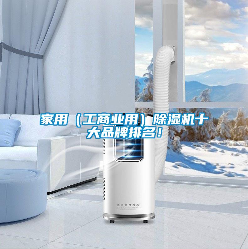 家用（工商業用）除濕機十大品牌排名！