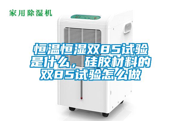 恒溫恒濕雙85試驗是什么，硅膠材料的雙85試驗怎么做