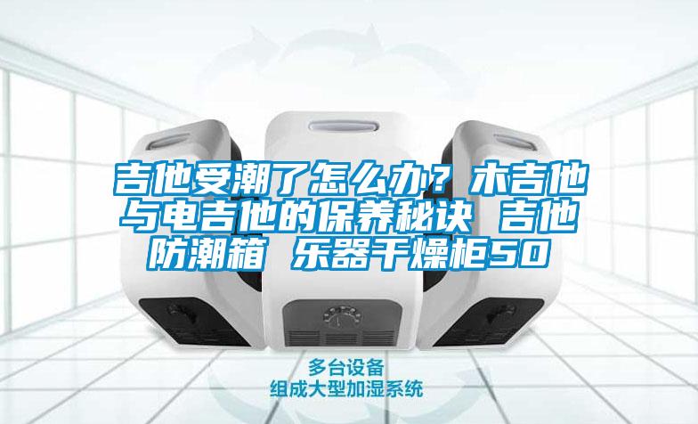 吉他受潮了怎么辦？木吉他與電吉他的保養秘訣 吉他防潮箱 樂器干燥柜50
