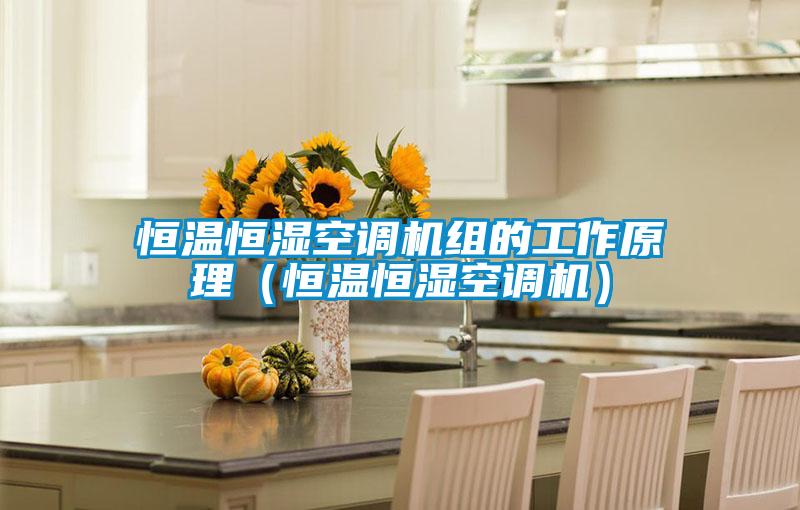 恒溫恒濕空調(diào)機組的工作原理（恒溫恒濕空調(diào)機）