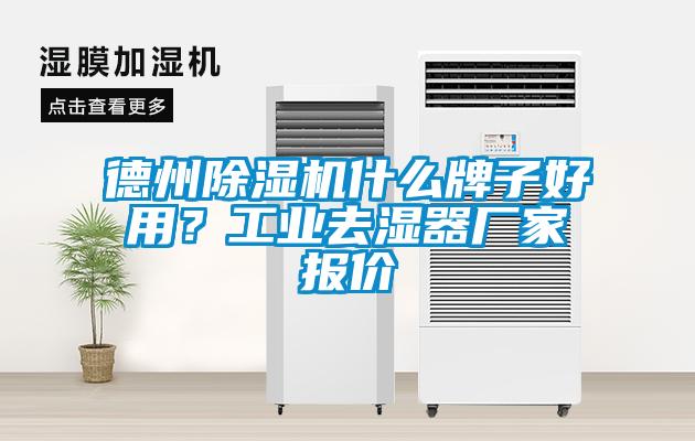 德州除濕機(jī)什么牌子好用?工業(yè)去濕器廠家報(bào)價(jià)