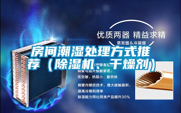 房間潮濕處理方式推薦（除濕機、干燥劑）