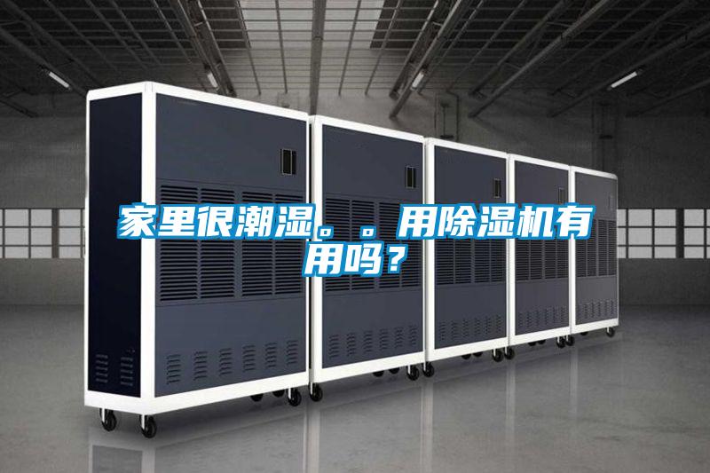 家里很潮濕。。用除濕機(jī)有用嗎？