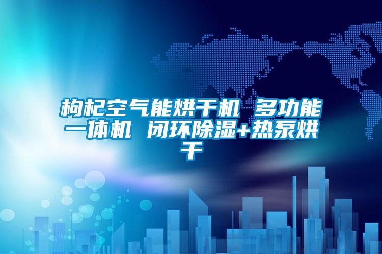 枸杞空氣能烘干機 多功能一體機 閉環除濕+熱泵烘干