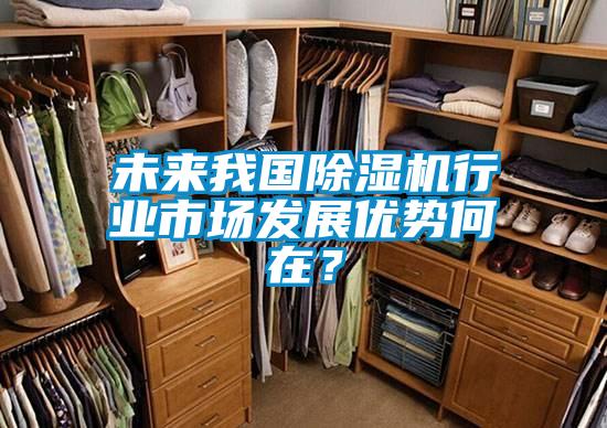 未來我國除濕機行業市場發展優勢何在？
