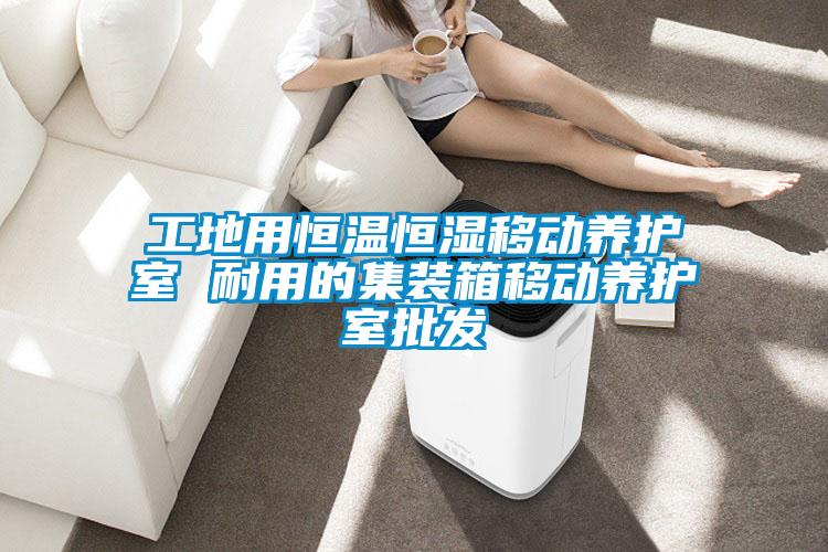 工地用恒溫恒濕移動養(yǎng)護(hù)室 耐用的集裝箱移動養(yǎng)護(hù)室批發(fā)