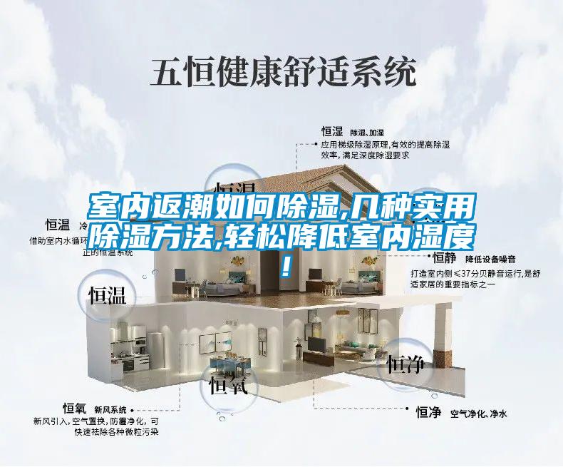 室內返潮如何除濕,幾種實用除濕方法,輕松降低室內濕度！