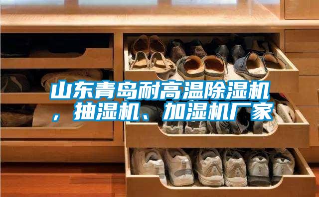 山東青島耐高溫除濕機，抽濕機、加濕機廠家