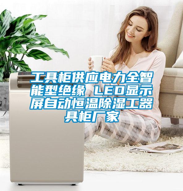工具柜供應(yīng)電力全智能型絕緣 LED顯示屏自動(dòng)恒溫除濕工器具柜廠家