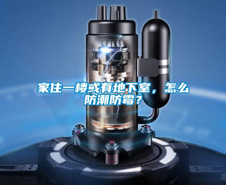 家住一樓或有地下室，怎么防潮防霉？