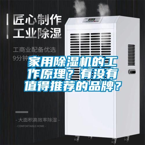 家用除濕機的工作原理？有沒有值得推薦的品牌？
