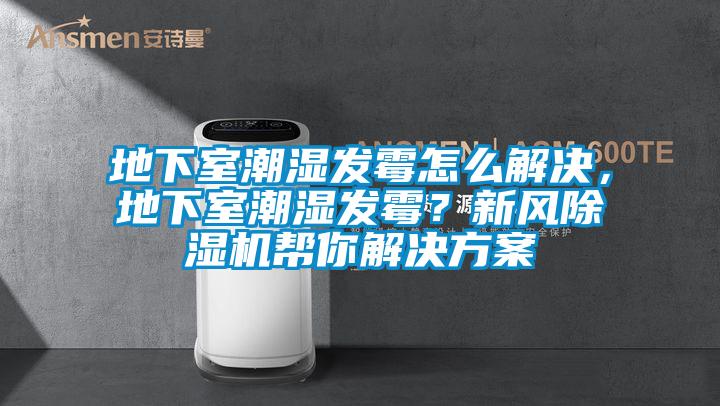 地下室潮濕發霉怎么解決，地下室潮濕發霉？新風除濕機幫你解決方案