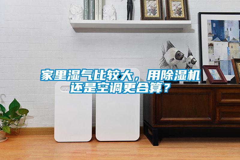 家里濕氣比較大,用除濕機(jī)還是空調(diào)更合算?