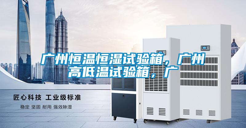 廣州恒溫恒濕試驗箱，廣州高低溫試驗箱，廣