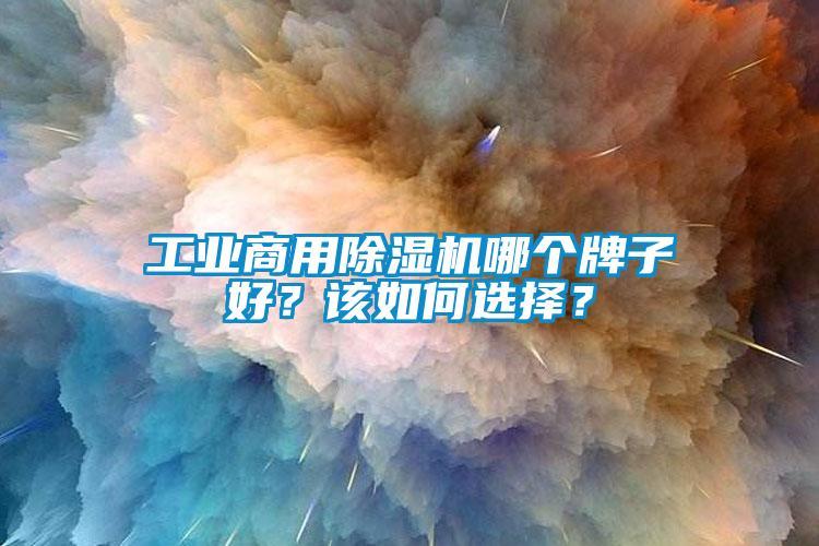 工業商用除濕機哪個牌子好？該如何選擇？