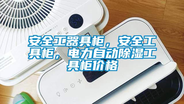 安全工器具柜，安全工具柜，電力自動(dòng)除濕工具柜價(jià)格