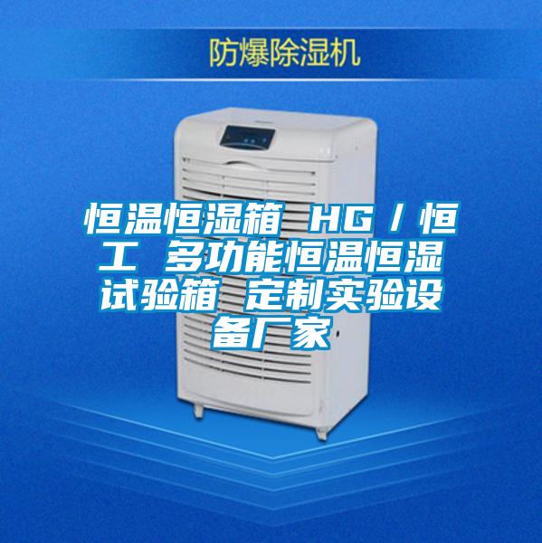 恒溫恒濕箱 HG／恒工 多功能恒溫恒濕試驗箱 定制實驗設(shè)備廠家