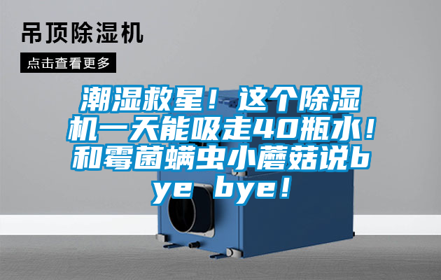 潮濕救星!這個除濕機一天能吸走40瓶水!和霉菌螨蟲小蘑菇說bye bye!