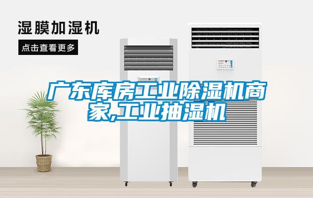 廣東庫房工業除濕機商家,工業抽濕機