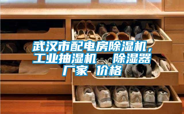 武漢市配電房除濕機，工業抽濕機  除濕器廠家 價格