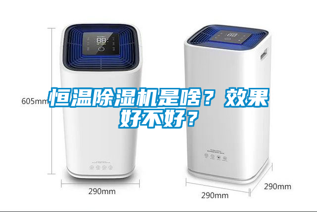 恒溫除濕機是啥？效果好不好？