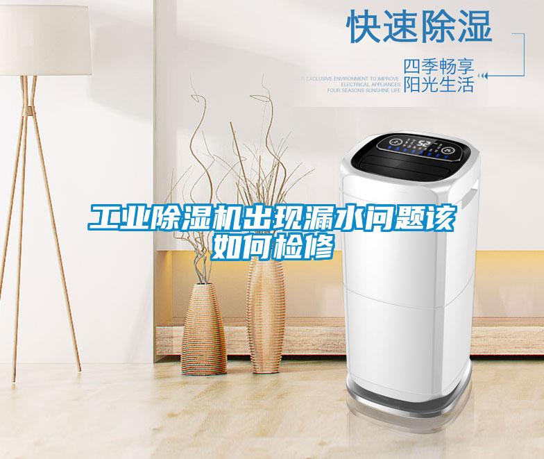 工業除濕機出現漏水問題該如何檢修