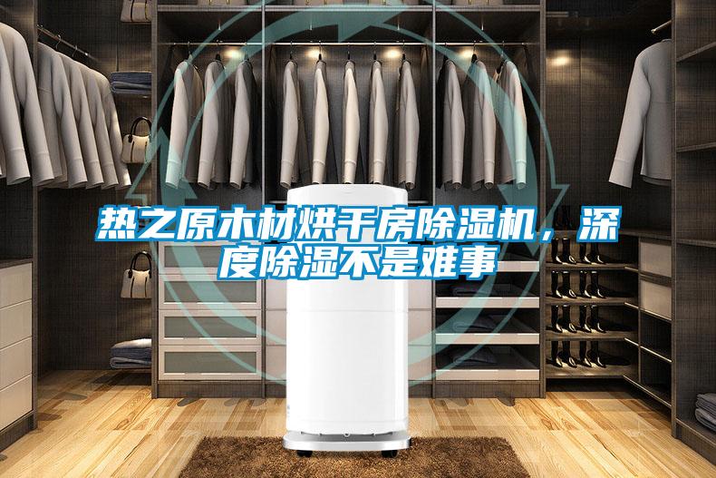 熱之原木材烘干房除濕機(jī)，深度除濕不是難事