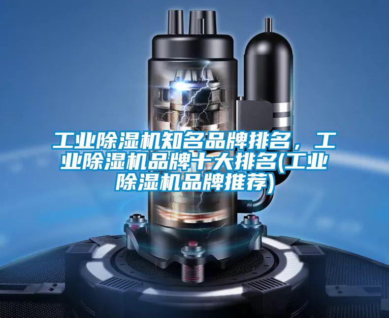 工業(yè)除濕機(jī)知名品牌排名，工業(yè)除濕機(jī)品牌十大排名(工業(yè)除濕機(jī)品牌推薦)