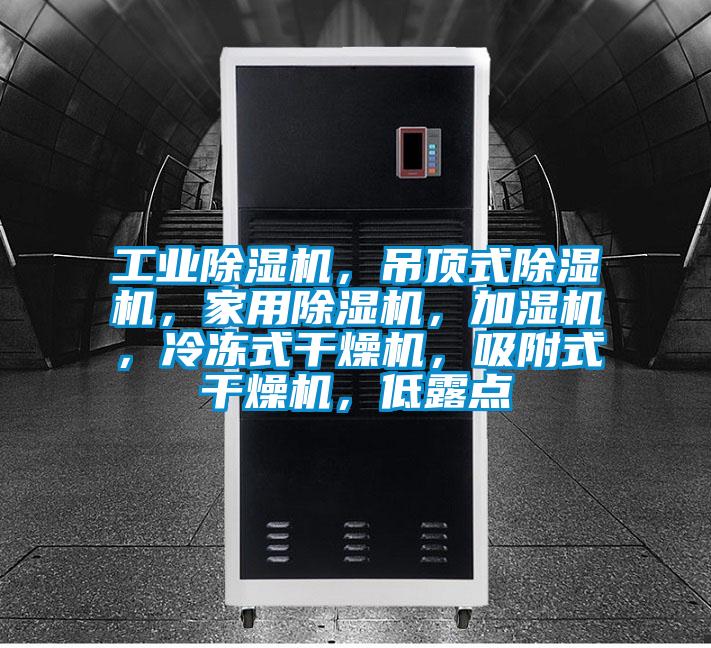工業(yè)除濕機(jī)，吊頂式除濕機(jī)，家用除濕機(jī)，加濕機(jī)，冷凍式干燥機(jī)，吸附式干燥機(jī)，低露點(diǎn)