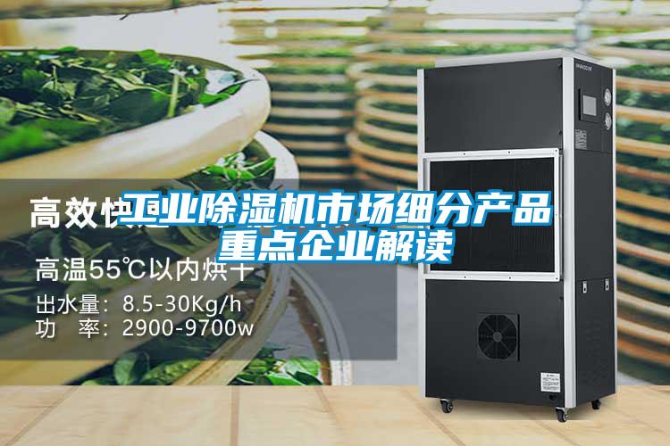 工業(yè)除濕機市場細(xì)分產(chǎn)品重點企業(yè)解讀
