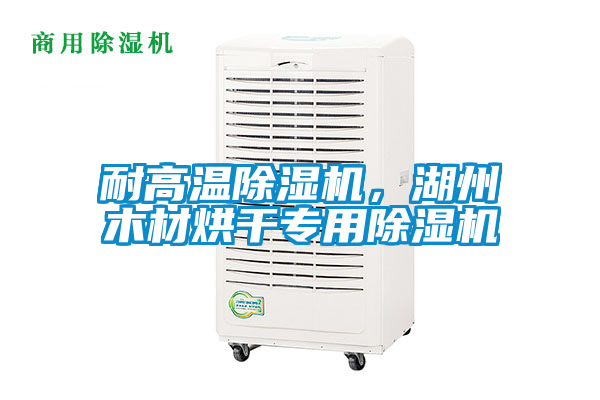 耐高溫除濕機，湖州木材烘干專用除濕機