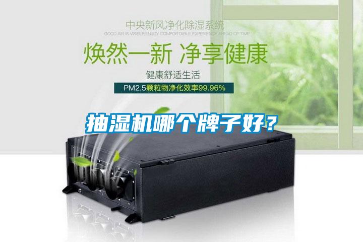 抽濕機哪個牌子好？