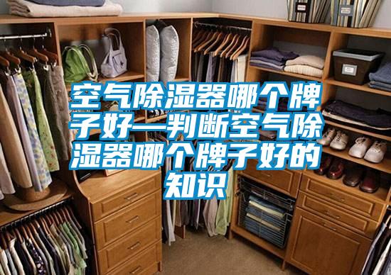 空氣除濕器哪個牌子好—判斷空氣除濕器哪個牌子好的知識