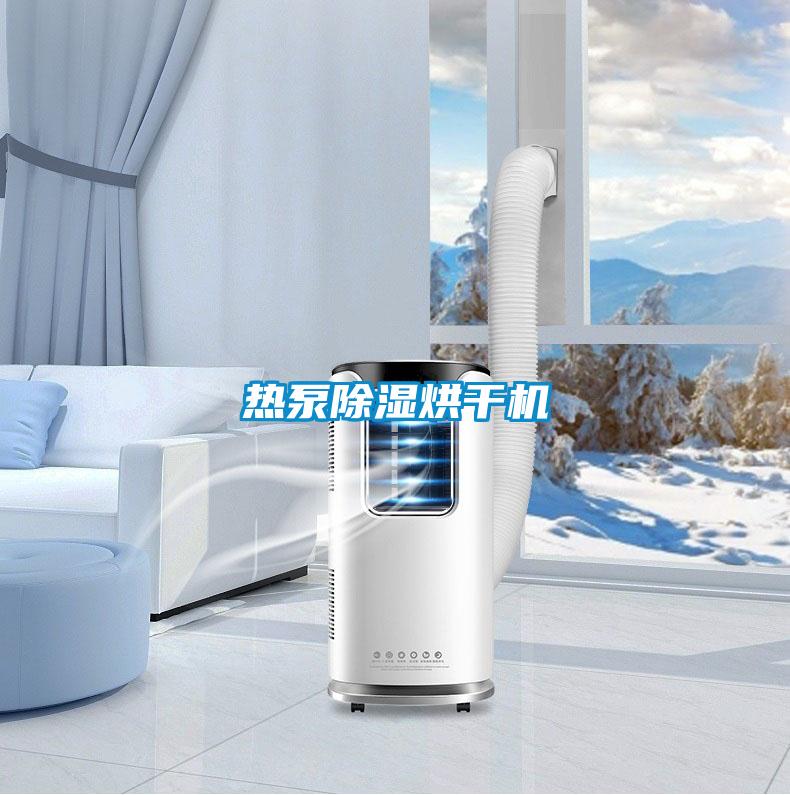熱泵除濕烘干機(jī)