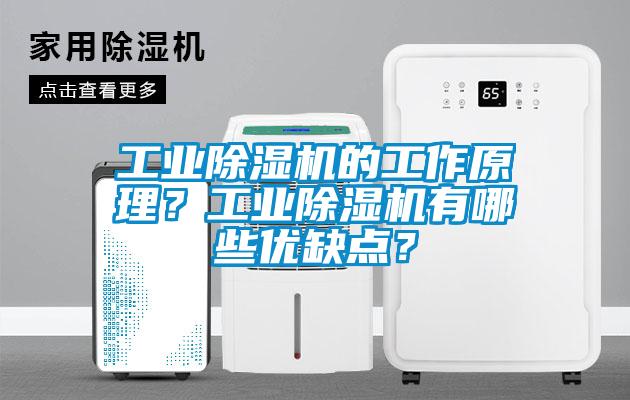 工業除濕機的工作原理？工業除濕機有哪些優缺點？
