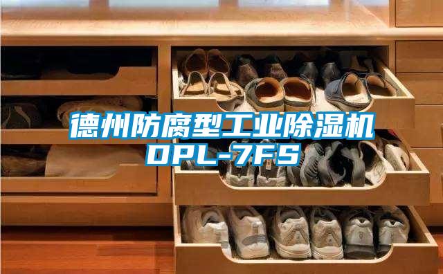 德州防腐型工業(yè)除濕機DPL-7FS